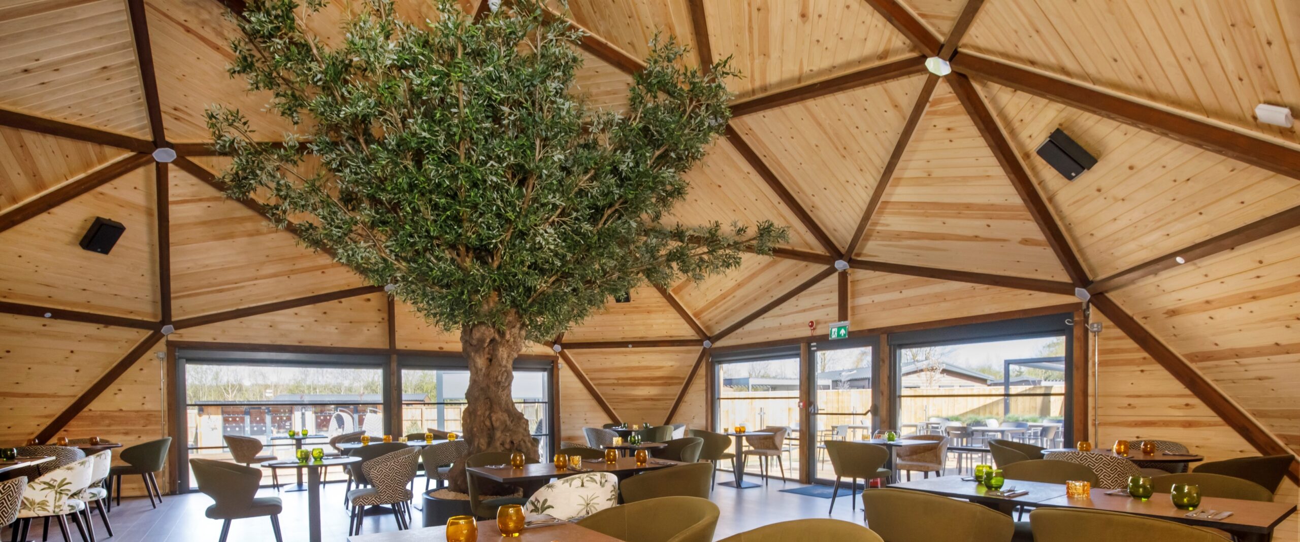 dine-web-banner_tree-top
