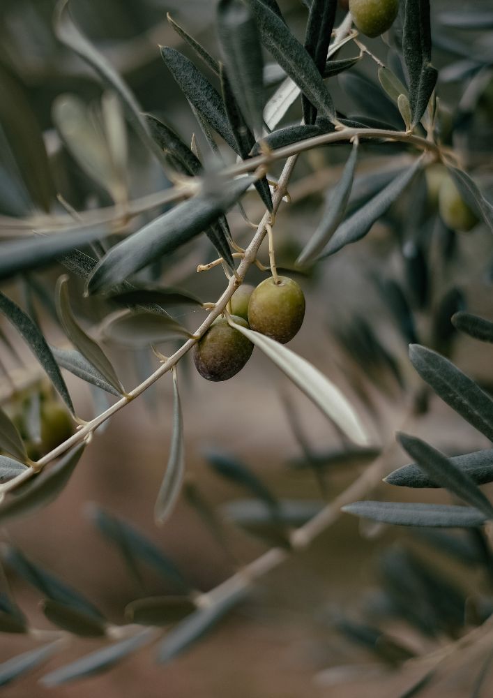 The Dome Yorkshire Spa Retreat