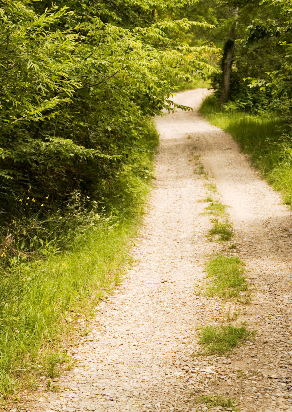 Wellness Retreat Photos  (14)