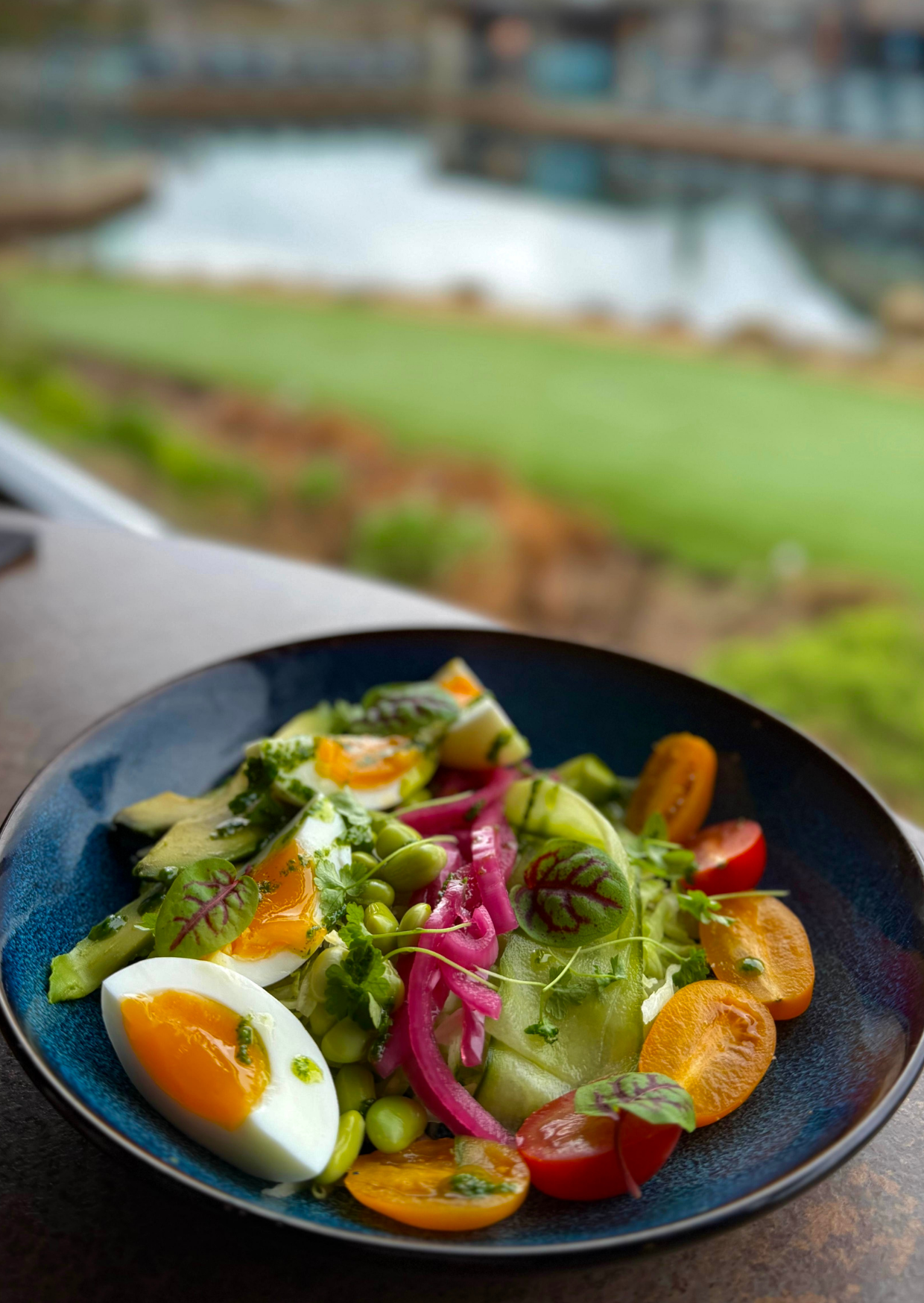 Wellness Retreat Photos  (24)