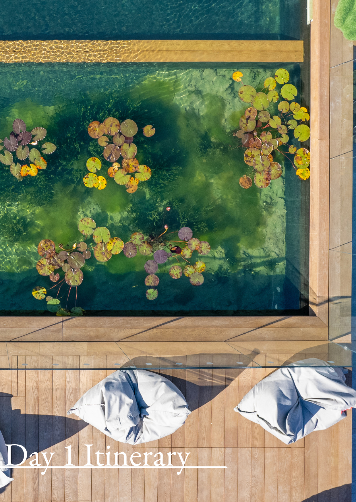 Wellness Retreat Photos  (33)