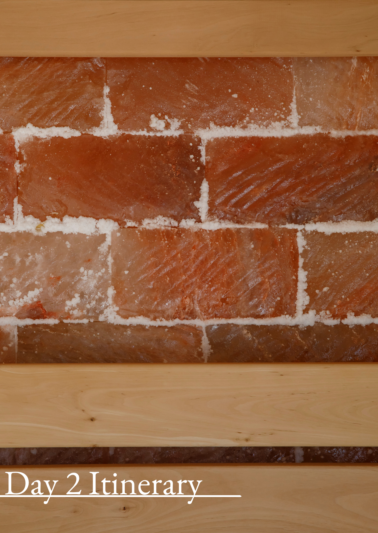 Wellness Retreat Photos  (34)