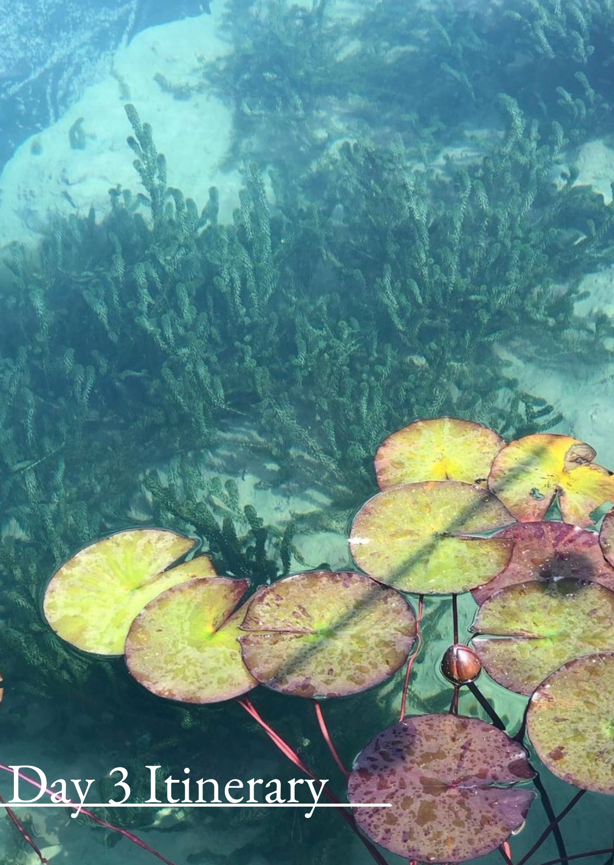 Wellness Retreat Photos  (35)