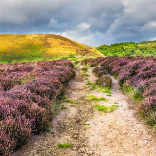 _Yorkshire Spa Retreat Wellness (5)